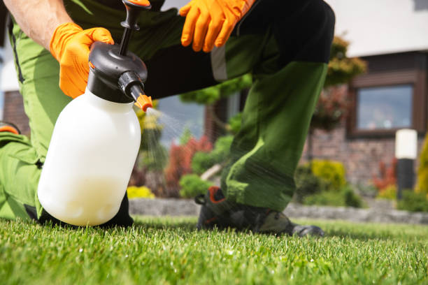 Best Cockroach Control Services  in Stigler, OK