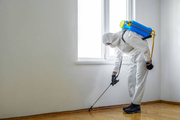 Best Rat Extermination Near Me  in Stigler, OK