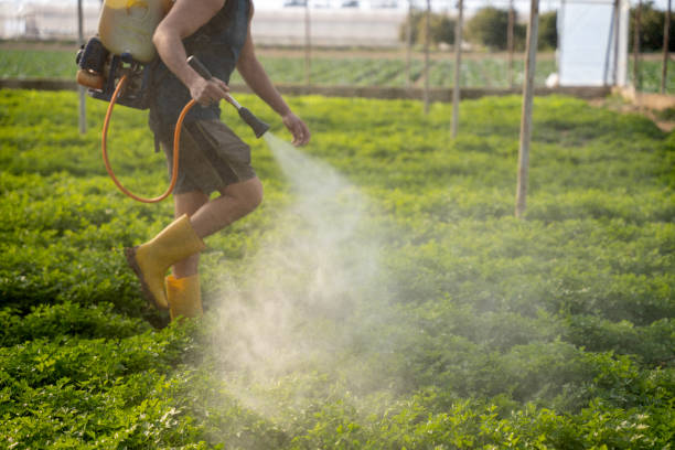 Best Exterminator Services  in Stigler, OK