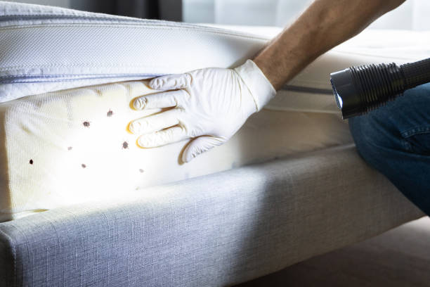 Pest Prevention Services in Stigler, OK