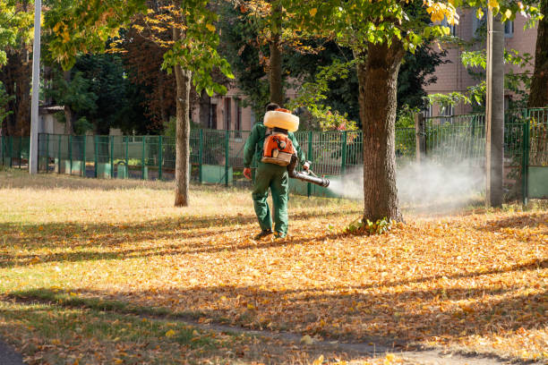 Best Insect Control  in Stigler, OK