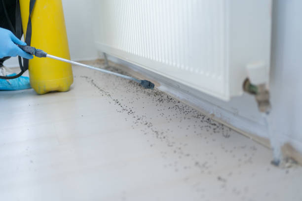 Best Emergency Pest Control  in Stigler, OK
