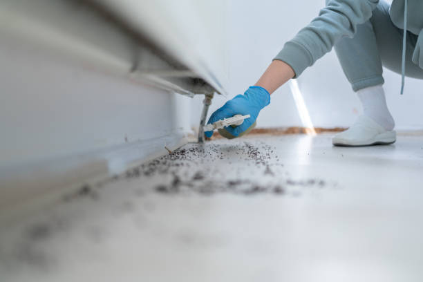 Best Pest Prevention Services  in Stigler, OK