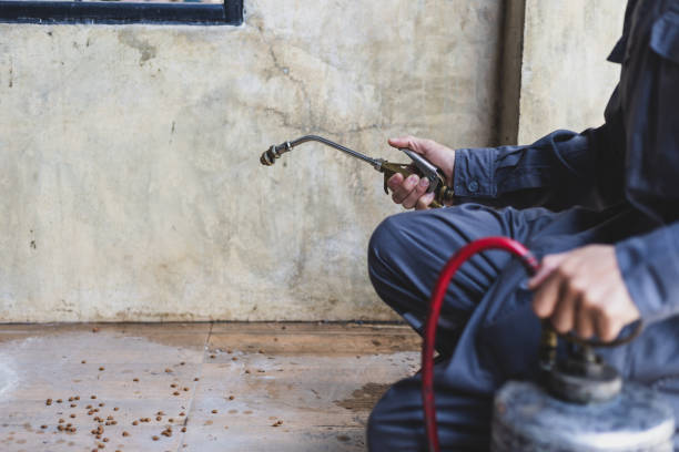 Best Termite Control Services  in Stigler, OK